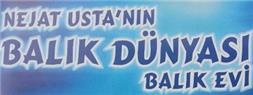 Nejat Ustanın Balık Dünyası - İzmir